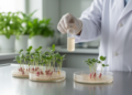 Engineered Rhizobium Strain Opens Transient Gene Expression to Diverse Crops