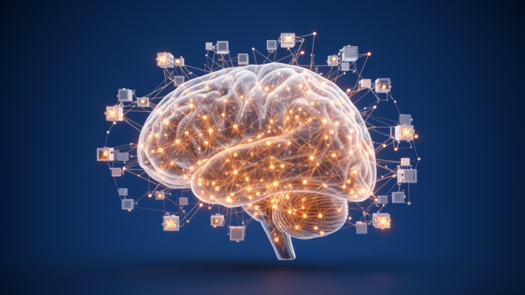 Richer Building Blocks Reveal a Hidden Brain Signature of Design Thinking