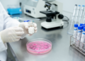 Novel Anaprazole-Based Quadruple Therapy Matches Rabeprazole in H. pylori Eradication Trial