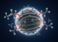 Cryo-EM Reveals How FMDV O/Cathay Variants Evade Neutralizing Antibodies