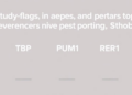Study Flags TBP, PUM1 and RER1 as Top Reference Genes for Breast Tissue qPCR