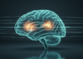 AI Pipeline Pinpoints Hidden Brain Regions in MRI Scans