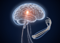 Precise triggers in motor cortex can launch learned movements