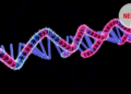 Rare ERBB2 Variants Expand the Genetic Picture of a Multisystem Congenital Disorder