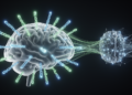 DNA Nanosensors Paired With AI Aim to Catch Brain Inflammation Early