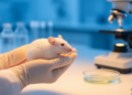 Gut Inflammation, Anxious Brain: Dexpanthenol Eases Colitis-Linked Anxiety in Rats