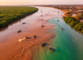 Africa's Estuaries Deliver Billions in Value but Face Mounting Threats