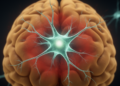 Astrocyte Gene ATP13A2 Revealed as a Hidden Brake on Brain Inflammation in Parkinson's Disease