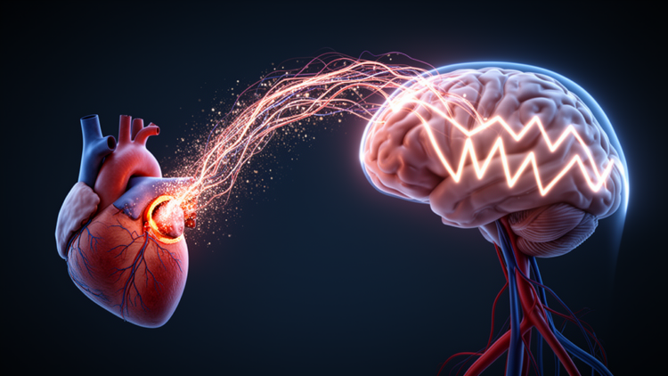 Hidden Heart-Brain Link: New Study Probes Why Migraine Aura and a Heart Flaw Travel Together