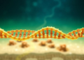 Ancient Lake DNA Reveals Microbes Evolving Faster Than Their Functions Under Climate Change