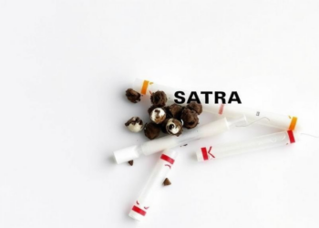 How Nicotine Wrecks Sperm: Antioxidants May Quiet a Cellular Stress Switch in the Testis