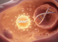 Metabolic Enzyme NNMT Drives Ovarian Hormone Disorder Through Epigenetic Rewiring