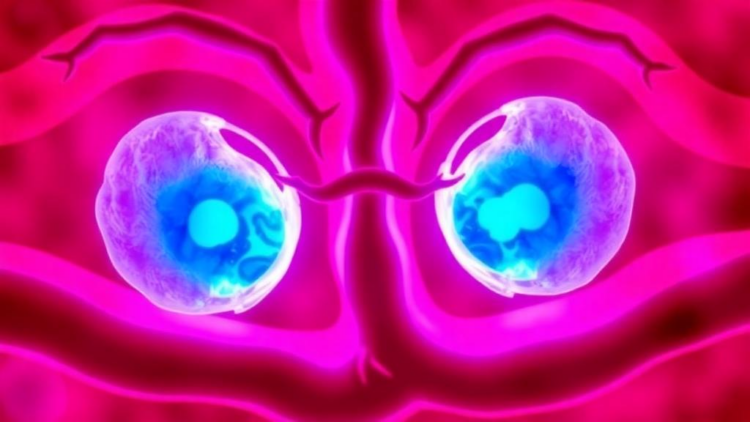 Two Cell Death Pathways May Converge to Drive Deadly Intestinal Disease in Preterm Infants