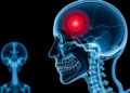 AI Learns to Prove Itself: Verified Deep Learning for Injury Detection