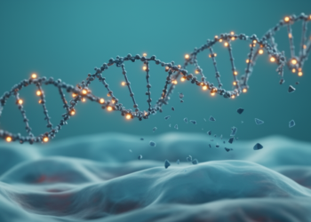 Cell-Free DNA Study Reveals How Methylation and Fragmentation Team Up for Cancer Detection