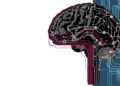 FPGA-Synchronized EEG Framework Decodes Natural Speech Trial by Trial