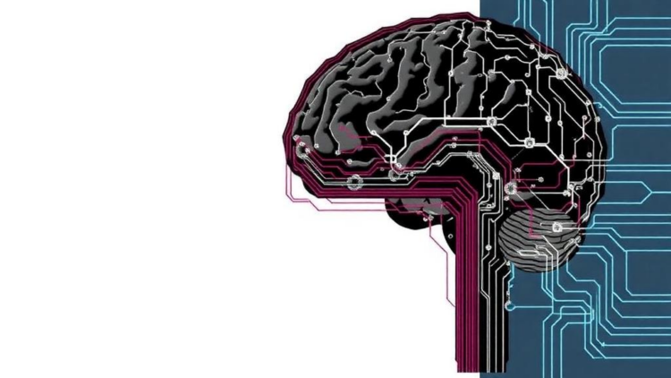 FPGA-Synchronized EEG Framework Decodes Natural Speech Trial by Trial