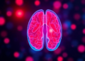 AI Takes on Lymphoma: How Machine Learning Is Rewriting Blood Cancer Diagnosis