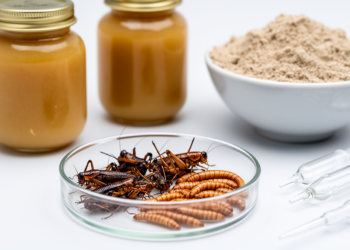 Fungi, Mycotoxins, and Histamine Lurk in Edible Insects and Baby Foods