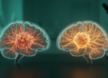 Two brain tumors, two evolutionary playbooks, one landmark study