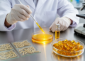 Vitamin K2 and a Probiotic Bacterium Show Anti-Inflammatory Promise Against Colorectal Cancer in Mice
