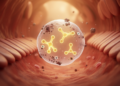 Cellular Bubbles and Molecular Trash Tags: A New Route for Antibody Drugs Into the Brain