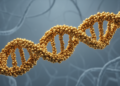 Gold nanoclusters learn collagen's trick: stereochemical preorganization builds triple helices