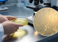 Lipid Droplets in Pet Urine Are Far More Common Than Vets Thought, Study Finds