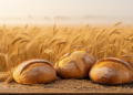 Rising Carbon Dioxide Reshapes Wheat Proteins, Threatening Bread Quality