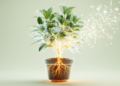 Plants as agents: senome, electrome and the making of a plant semiosphere