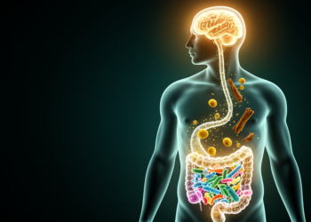 Ancient Chinese Formula Shields the Brain by Rewiring Gut Microbes and Metabolism
