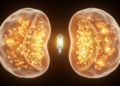 Yeast Tag Team Doubles Enzyme Output With Heat-Sensing AI Watchdog
