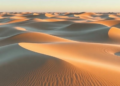 Dunes Follow a Hidden Physics: Young Coastal Dune Landscapes Self-Organize Like Phase-Separating Fluids