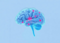 AI Learns to Read Brain-Wire Maps to Catch Seizures in Seconds