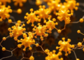 Tiny Gold-Silver Clusters Turn Near-Infrared Light Into Heat and Electricity With Record Efficiency