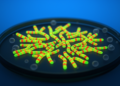 New DNA barcodes for citrus chromosomes revealed by fluorescent mapping