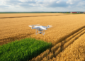 AI Models Trained on One Year of Wheat Fail the Next, Five-Year Drone Study Shows