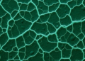 Plant Flavonoid Sophoraflavanone G Cracks Staphylococcal Biofilms but Spares Pseudomonas