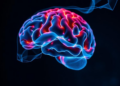 Antidepressant Agomelatine Dampens Nicotine-Driven Brain Changes in Rats