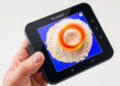 Handheld NIR Scanner and Bilinear Surface Model Crack Rapid Gluten Quality Testing in Whole Wheat Flour