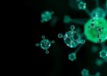 Gentle Hydrogen-Bond Catalysts Make Crystalline COFs in Hours