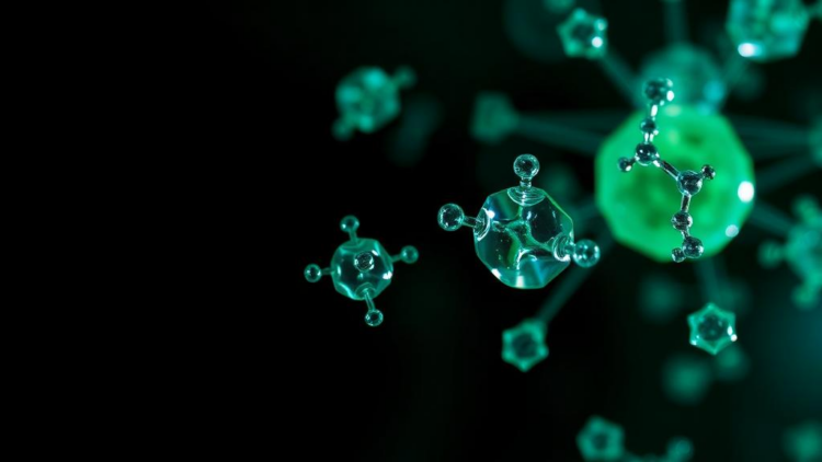 Gentle Hydrogen-Bond Catalysts Make Crystalline COFs in Hours