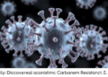 Newly Discovered Virus KBU_SV1 Shows Promise Against Carbapenem-Resistant E. coli