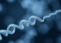 Rare New Alpha-Globin Gene Variant Discovered in Chengdu Thalassemia Screening Study