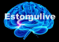 Landmark Study Linking Estrogen to Ketamine Brain Protection Retracted Over Image Integrity