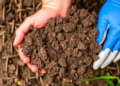 Discarded Rubber Gloves Could Give Farm Soil a Surprising Boost