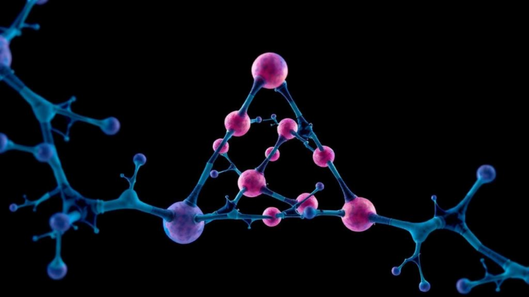 One Kinase, Two Tumor Suppressors: The Molecular Triangle That Decides Whether Cancer Therapy Works