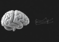 White Matter Is Not Silent: Hidden Brain Networks Shift Early in Alzheimer's Disease