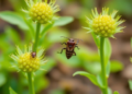 Inside Plants: How Microbial Allies Could Rewrite Crop Pest Control