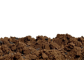 Guano-Based Organic Fertilizer Shows a Sweet Spot for Restoring Degraded Soils